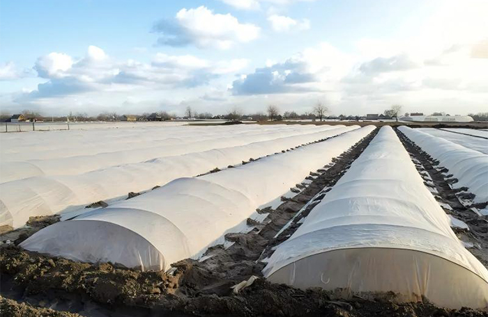 Cold-resistant agricultural membrane & food wrapping film 